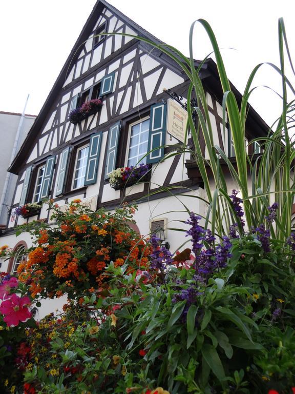 Hotel Schuetzenhof Spa Garden Buerstadt Luaran gambar